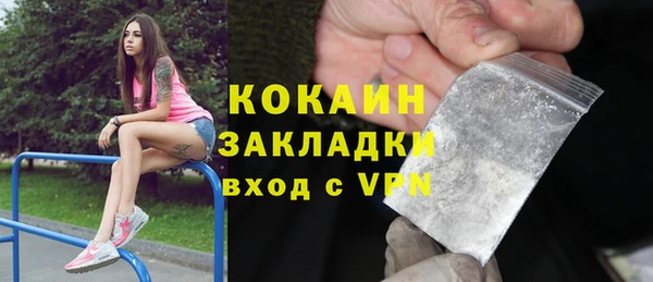 шишки Козловка