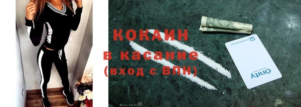 шишки Козловка