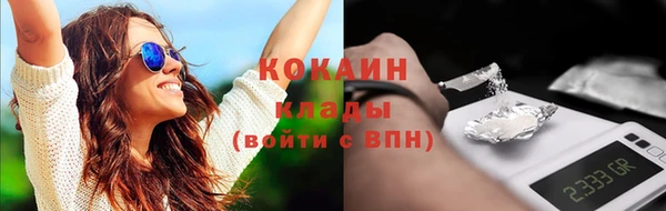 шишки Козловка