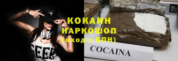 шишки Козловка
