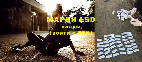 шишки Козловка