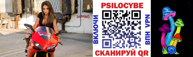 Псилоцибиновые грибы Cubensis  Королёв 